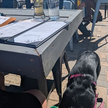 Brew Revolution - Bring your pup to the patio! - Brewpubs Near Me - Ottawa, Ontario