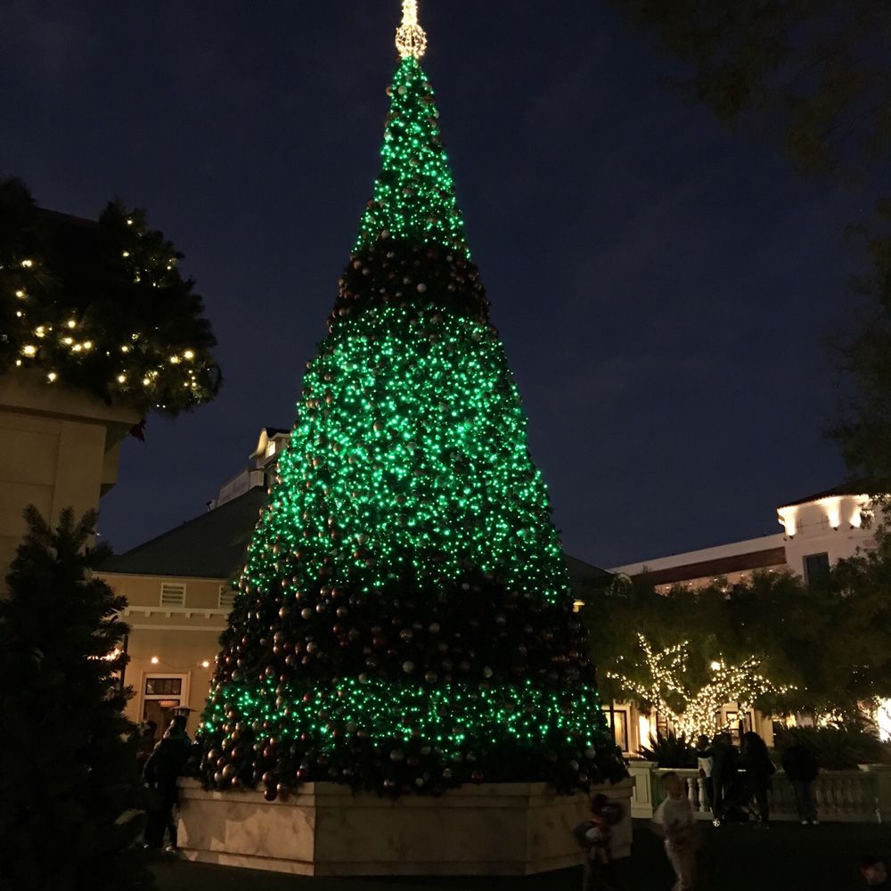 Town Square Park - A REAL Christmas tree in Vegas. - Parks Near Me - Las Vegas, Nevada Town Square Park - A REAL Christmas tree in Vegas. - Parks Near Me - Las Vegas, Nevada