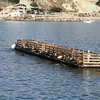 Mersea's - Bars Near Me - Avila Beach, California Mersea's - Bars Near Me - Avila Beach, California