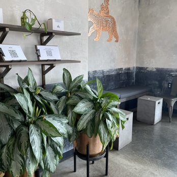 The Boy & The Bear - Coffee Roasteries Near Me - Westchester, California