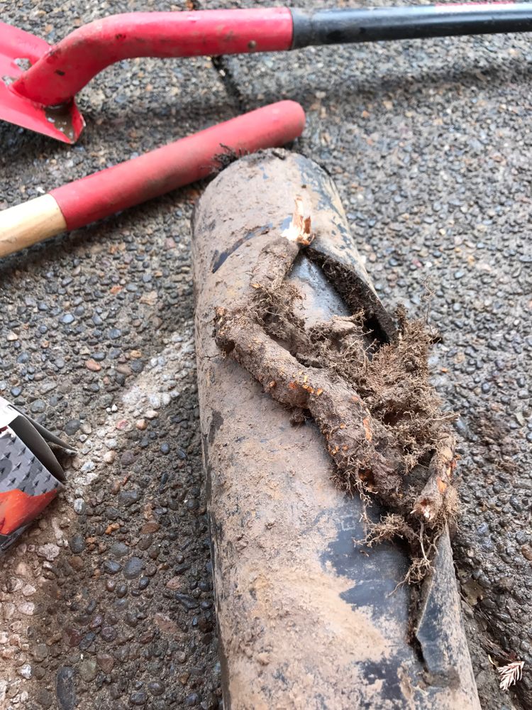 Slide of Sewer Surgeons Nw