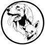 Photo of Beyond Basic Dog Training