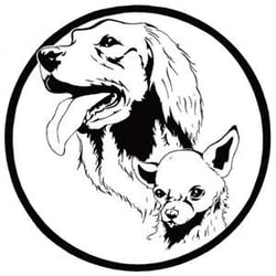 Beyond Basic Dog Training