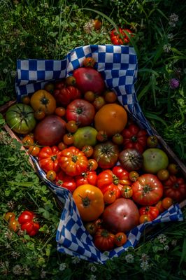 Farm Shoppe by null