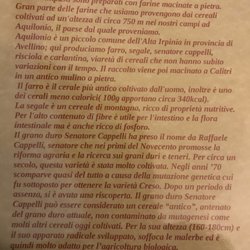 Focacceria Mediterranea - La storia di questi eagazzi irpini e dei loro prodotti buinissimi.