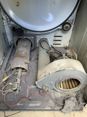Dryer Lint Service - It is essential to have your dryer lint service every other year to keep optimal dryer performance better dry cycles, longevity and mot important lint fires. Dryer Lint Service - It is essential to have your dryer lint service every other year to keep optimal dryer performance better dry cycles, longevity and mot important lint fires.