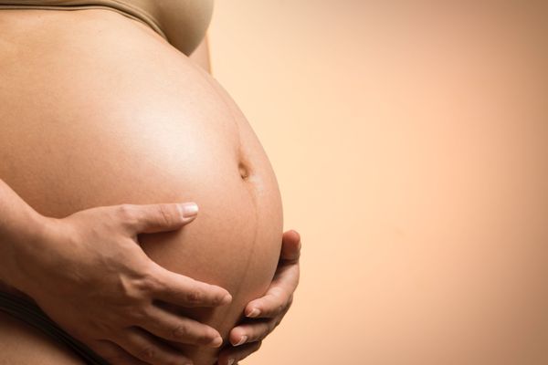 In-Home Prenatal Consultation - 60-minute comprehensive consult including:
A review of your intake form
Breastfeeding education to help you and your baby get off to best start possible
A breast exam (optional)
How to know baby is getting enough milk
Prevention and treatment of sore nipples
Tips and Tricks for positioning and deep latch
Help setting up your pump if needed
Compassionate discussion of your goals
Flange fitting (In person only)
Address any questions or concerns
Written care plan with resources
Email support for 1 week
Cost: $200 in person, $150 virtually
*A travel fee for clients with The Lactation Network will be applied for all visits (some exceptions apply, contact me for more details), as well as self-pay visits more than 10 miles from my home near San Jose Airport. In-Home Prenatal Consultation - 60-minute comprehensive consult including:
A review of your intake form
Breastfeeding education to help you and your baby get off to best start possible
A breast exam (optional)
How to know baby is getting enough milk
Prevention and treatment of sore nipples
Tips and Tricks for positioning and deep latch
Help setting up your pump if needed
Compassionate discussion of your goals
Flange fitting (In person only)
Address any questions or concerns
Written care plan with resources
Email support for 1 week
Cost: $200 in person, $150 virtually
*A travel fee for clients with The Lactation Network will be applied for all visits (some exceptions apply, contact me for more details), as well as self-pay visits more than 10 miles from my home near San Jose Airport.
