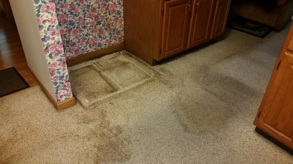 LEE CARPET CLEANING Updated July 2024 93 Photos 527 E Winona Ave