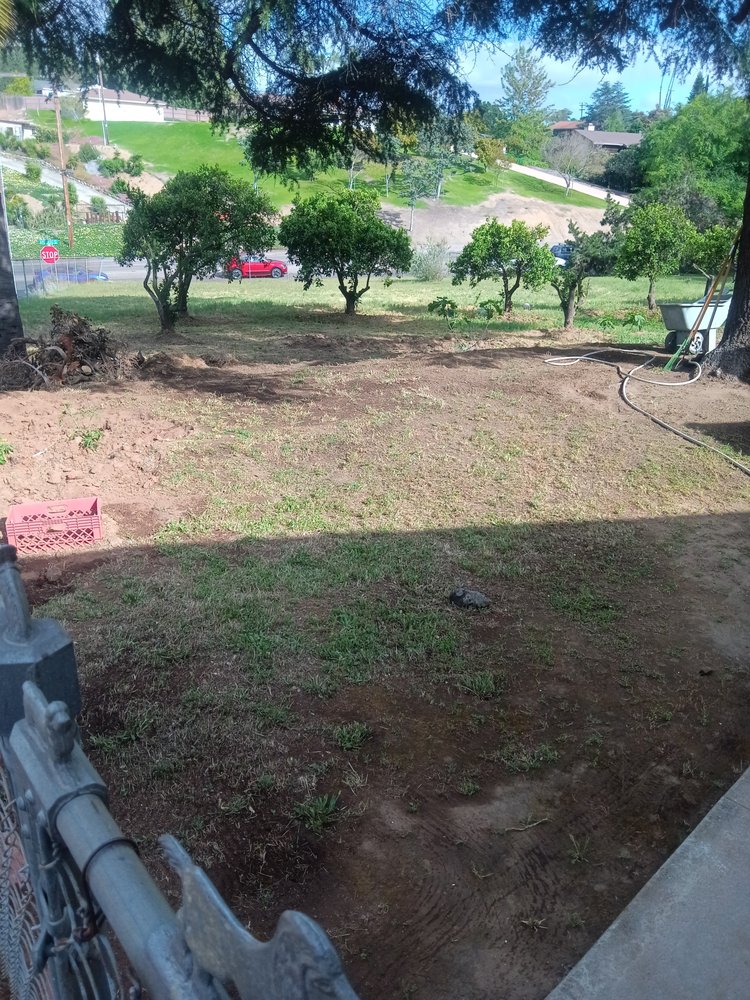 QUICKIE CLEAN Updated May 2024 21 Photos El Cajon, California