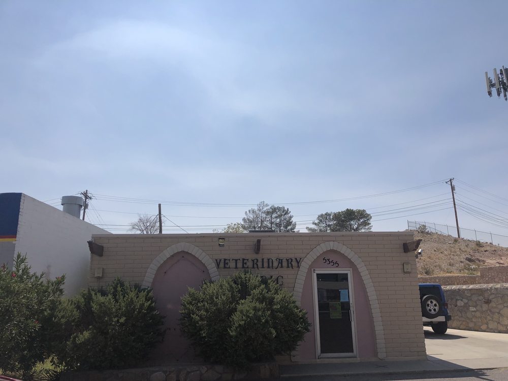 PAWS N’ HOOVES VETERINARY HOSPITAL 31 Photos & 44 Reviews