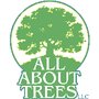 Photo of All About Trees