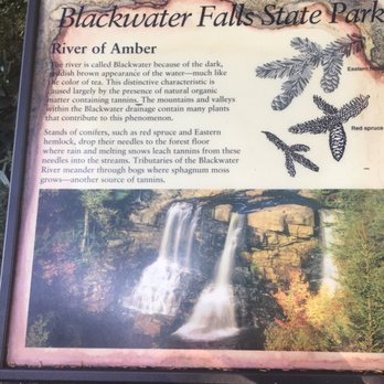 Blackwater Falls State Park - Parks Near Me - Davis, West Virginia Blackwater Falls State Park - Parks Near Me - Davis, West Virginia