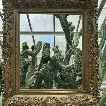 Krohn Conservatory - Botanical Gardens Near Me - Cincinnati, Ohio