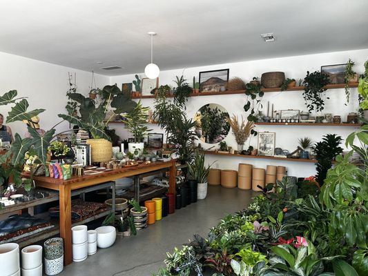 Public Land Store by null