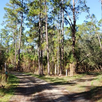 Split Oak Forest - Hiking Near Me - Orlando, Florida