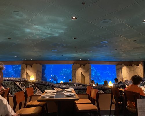 Coral Reef Restaurant by null