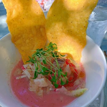 Marker 88 - Ceviche - Seafood Near Me - Islamorada, Florida Marker 88 - Ceviche - Seafood Near Me - Islamorada, Florida