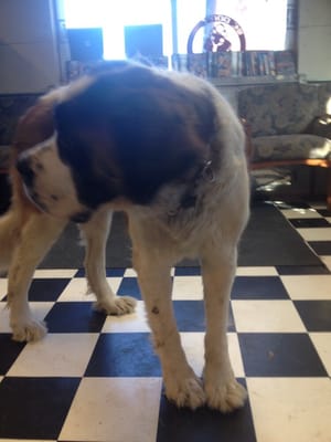 Big Dog Custom 4x4 & Auto Repair