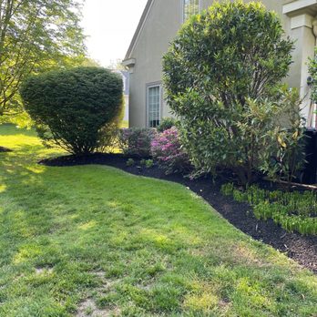 A & Y Landscaping & Tree Services - Landscaping Near Me