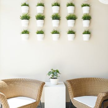 Boba Bliss - Beautiful sitting area - Bubble Tea Near Me - Mountain View, California