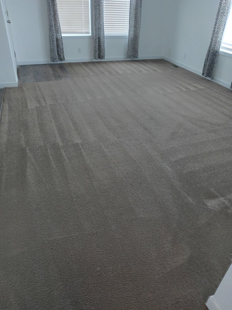 INTEGRITY CARPET & FLOOR CARE Updated September 2024 Homewood, Illinois Carpet Cleaning