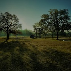 Cabins Out Back - Misty morning sunrise