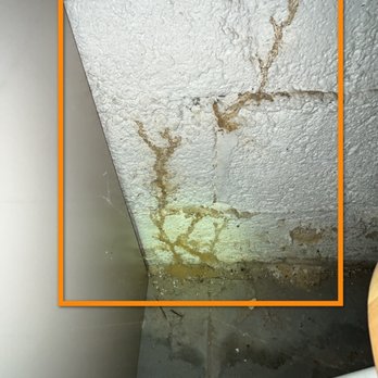 Tomlinson Home Inspection - Active termite tubes discovered during inspection. We help you spot wood-destroying organisms before they compromise the home's framing. - Home Inspectors Near Me Tomlinson Home Inspection - Active termite tubes discovered during inspection. We help you spot wood-destroying organisms before they compromise the home's framing. - Home Inspectors Near Me