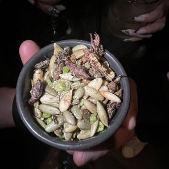 Tlecan - Chapulines aka Mexican grasshoppers - Bars Near Me - Ciudad de México, DIF