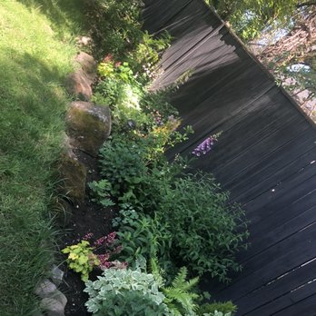 Tony's Garden Center - Flowerbed that has the 6 cypress trees in it. - Nurseries & Gardening Near Me - Damascus, Oregon Tony's Garden Center - Flowerbed that has the 6 cypress trees in it. - Nurseries & Gardening Near Me - Damascus, Oregon
