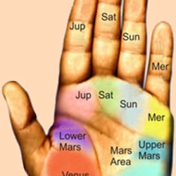 Psychic Readings by Theresa - The palms are based on your vibrations of you and your aura each line represent you