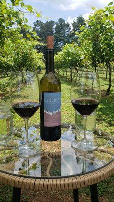 Cloudland Vineyards and Winery by null