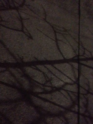 Portland Community College Cascade by null