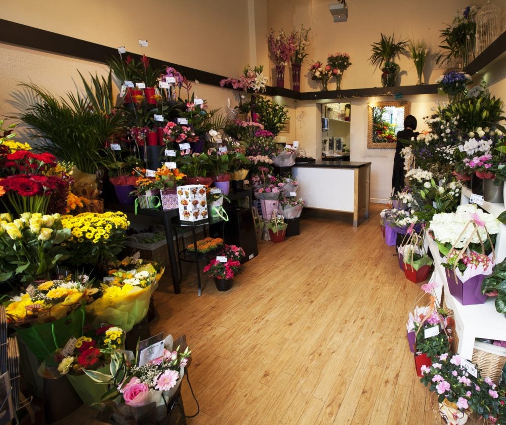 Williamson Flowers Dunfermline Best Flower Site