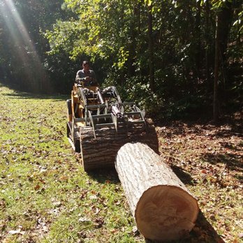 Hernandez Tree Experts - Tree removal - Tree Services Near Me Hernandez Tree Experts - Tree removal - Tree Services Near Me
