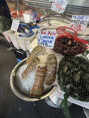 City Fish Co. by null