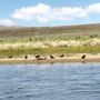 Crowley Lake Columns
