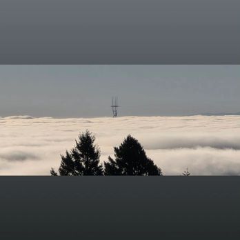 Mount Tamalpais State Park - Parks Near Me - Mill Valley, California