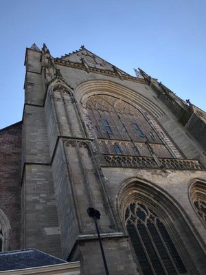 The St. Bavo Church in Haarlem by null