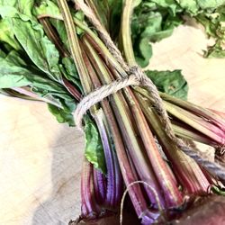 Migliorelli Farm Stand - Bound: ('Candy Cane' Beets)