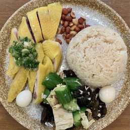 K9 Signature Hainan Chicken Over Rice ($14.95 as of Sept 2024)