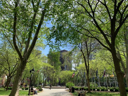 Washington Square by null