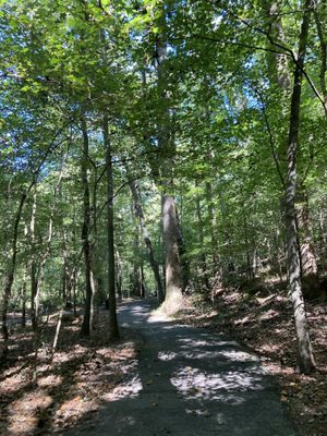 Cascade Springs Nature Preserve by null