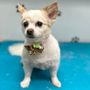 Photo of Pet Valu