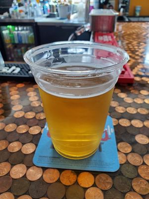 Chuck's Backyard by null