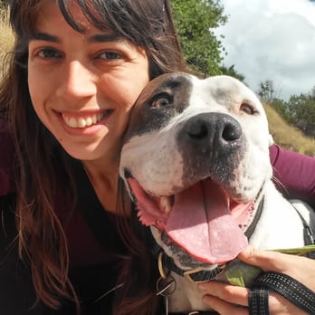 Pet Matters - Dog Walkers Near Me Pet Matters - Dog Walkers Near Me