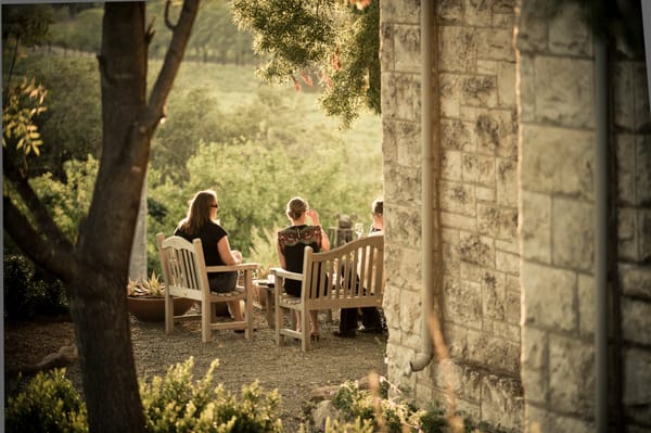 Stags' Leap Winery by null