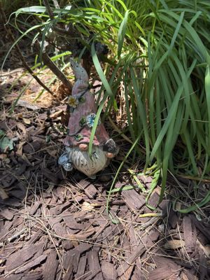 Briar Rose Winery by null