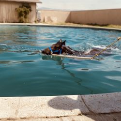 Down River Ranch - Pool