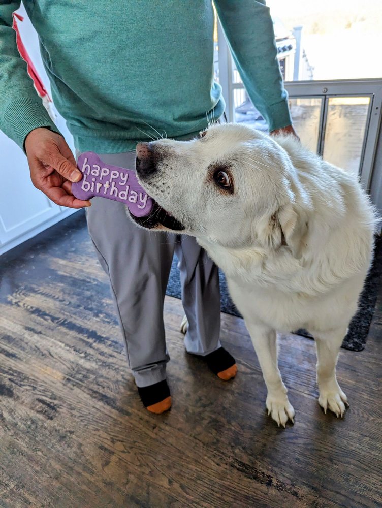 Tail Waggin' Pet Stop - pet boarding facility in Kansas City, MO