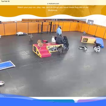 Camp Run-A-Mutt - Pet Groomers Near Me - Waterloo, Iowa Camp Run-A-Mutt - Pet Groomers Near Me - Waterloo, Iowa